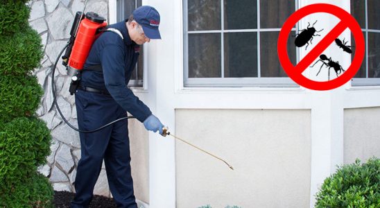 Bekilli Uçan Haşere İlaçlama böcek ilaçlama ve haşere kontrolü — ilaclama-tr.com